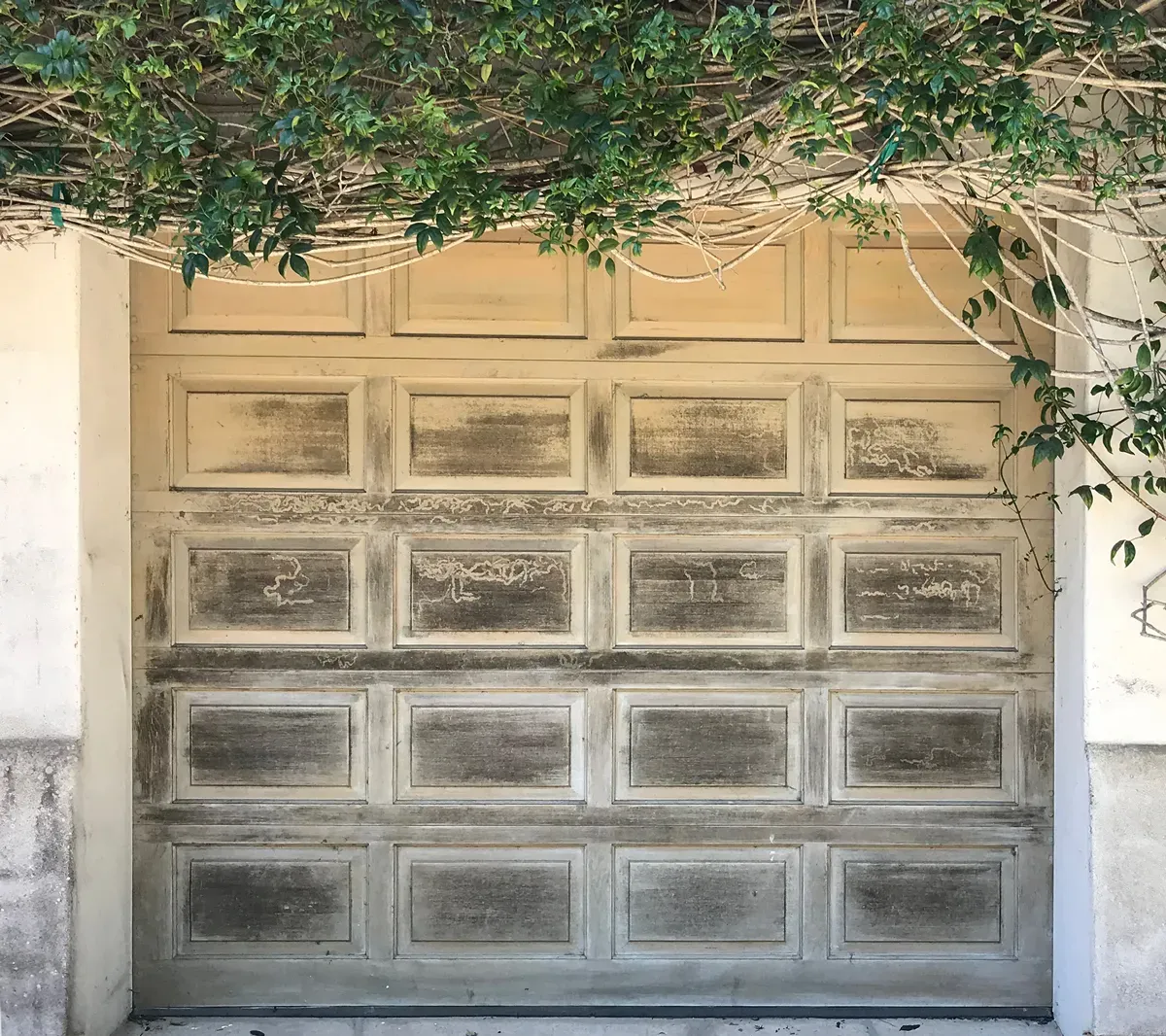 Cream garage door heavily stained with mildew and grime before cleaning