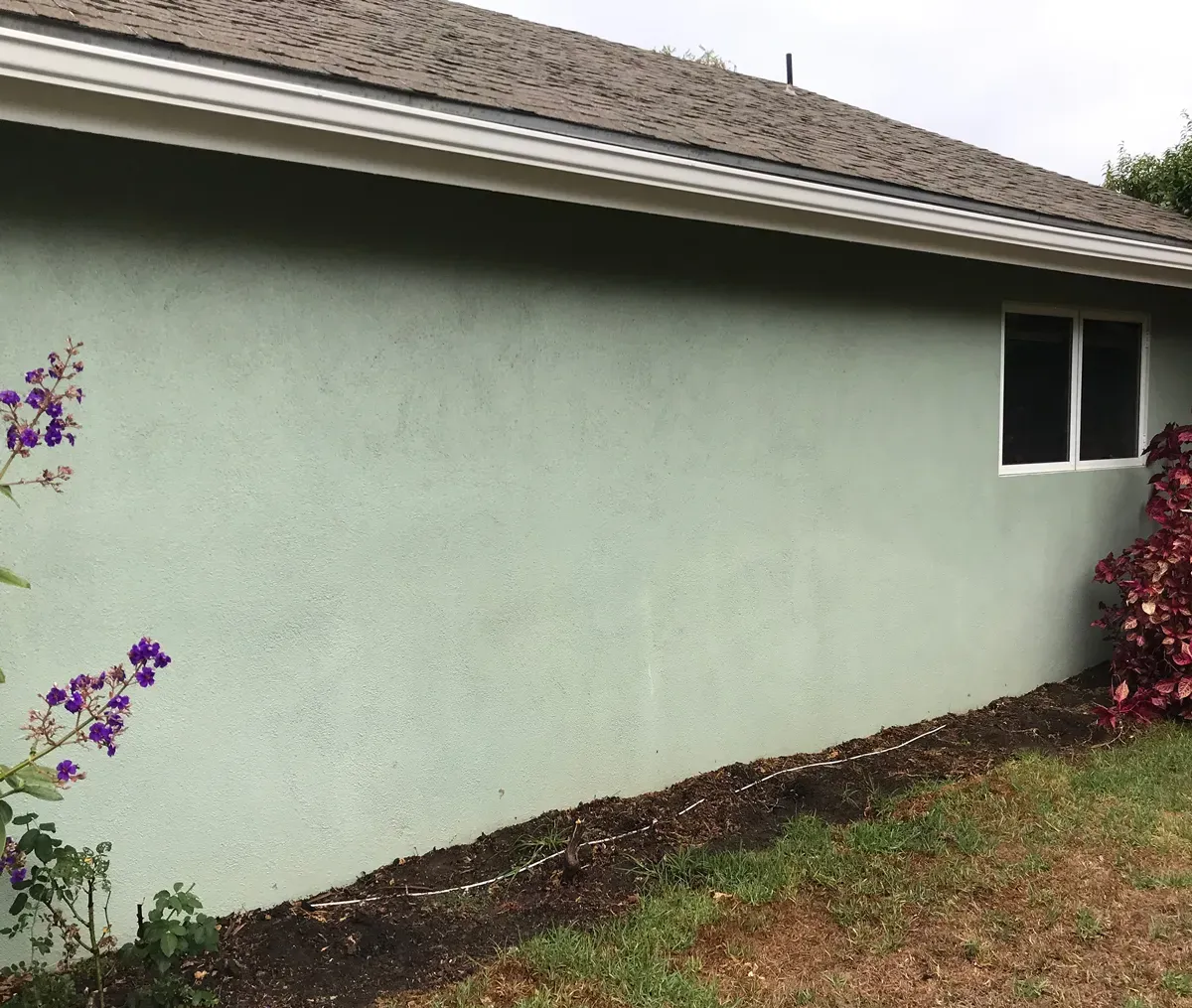 The same stucco wall after soft washing, algae removed and sage-green paint restored