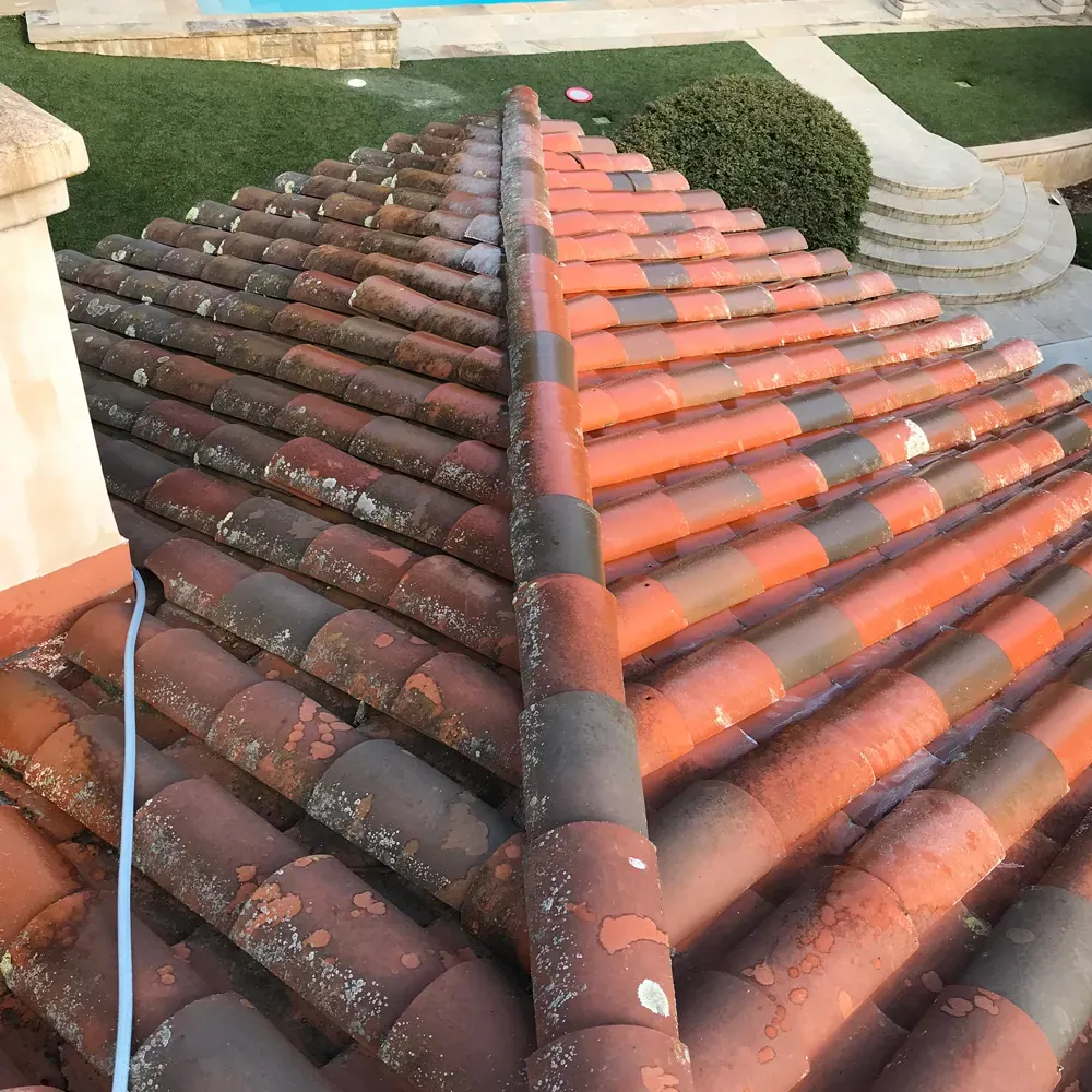 Clay tile roof mid-clean: algae- and lichen-covered tiles beside bright cleaned tiles